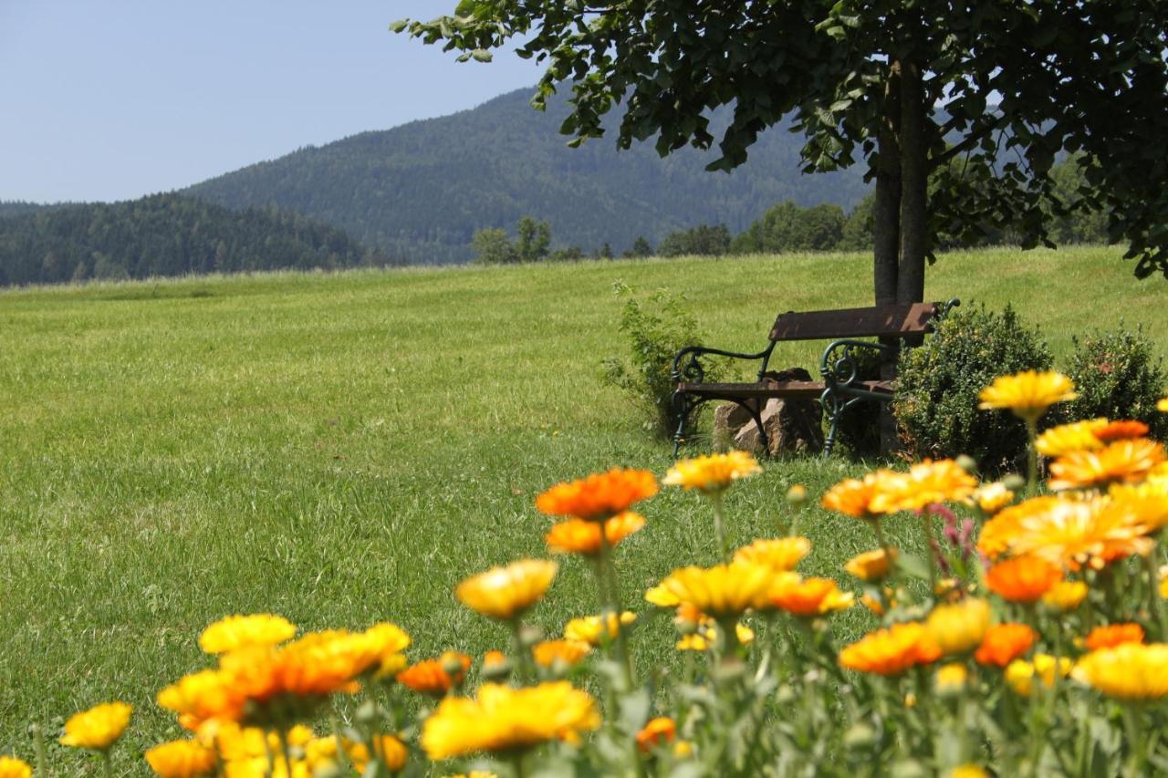 Almenlandhof Βίλα Fladnitz an der Teichalm Εξωτερικό φωτογραφία